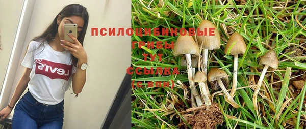 дмт Володарск